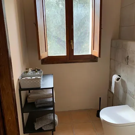Apartment Casa Solans -